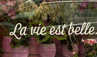 Namur "Positive"    Ca se lit sur 280 vitrines des commerçants