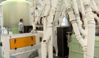 Moulin de Tongrinne: de la farine bio en circuit court