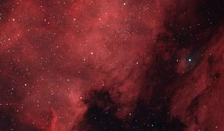 UNamur : vers l'infini et au-delà grâce à un télescope