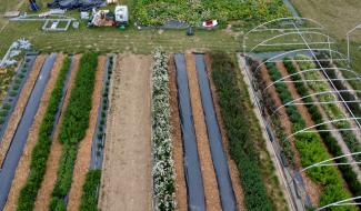 Une ferme collective en devenir à Bouge