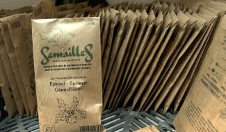 Depuis 25 ans "Semailles" produit des graines régionales et reproductibles