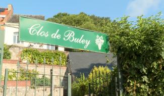 Le vignoble de Buley ouvert pour les Journées du Patrimoine