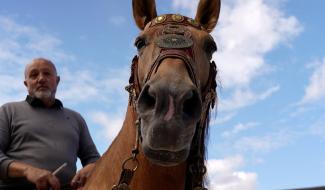 Des spectacles équestres médiévaux se préparent au château de Montigny