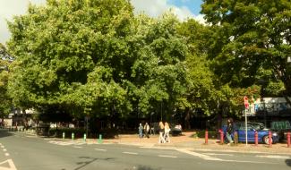 Feu vert pour le pôle multifonctionnel du square Léopold, mais...