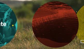 Festival international Nature Namur : l'émission du vendredi