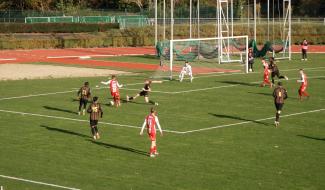 Ces Merles trop tranquilles