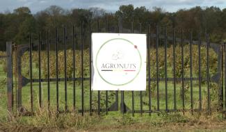 Agronuts a l'avenir de la noisette belge dans ses mains