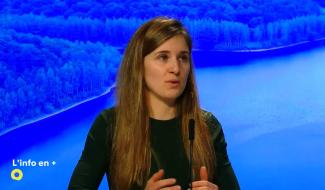 Un verger méditérannéen bientôt à Sombreffe