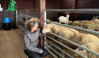 Tatouages solidaires au profit d'Equi'chance à Philippeville