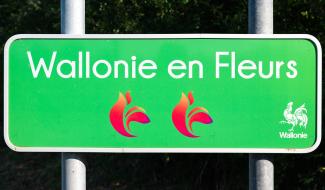 Les lauréats namurois "Wallonie en Fleurs" sont connus