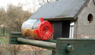 Gesves : un piège spécial anti frelons asiatiques