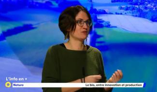 Bio-Wallonie est une structure qui encourage le Bio