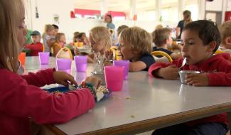 Plus de 13.000 repas servis quotidiennement dans les cantines durables en Wallonie