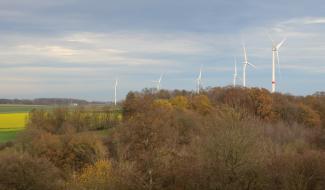 Le parc éolien de Gesves/Ohey teste une solution innovante pour la protection des chauves-souris