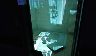 Cultivarium : l'art hors normes