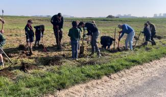 Une haie plantée pour développer la biodiversité