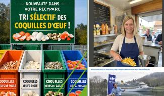 Namur : tout d'horizon (non exhaustif ) des poissons d'avril