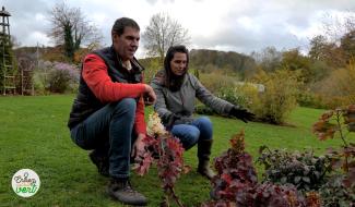 Novembre au jardin : planter et explorer la nature