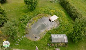 Piscines naturelles et rentrée au jardin : un retour au vert !