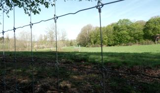 Gesves: lutter contre l'usurpation de chemins communaux