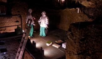 Traque à l'ADN à la Grotte de Scladina