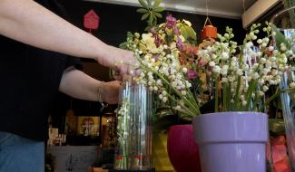 Le muguet du 1er mai