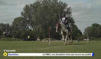 Le TREC, une discipline niche de l'équitation ouverte à tous qui trouve son public