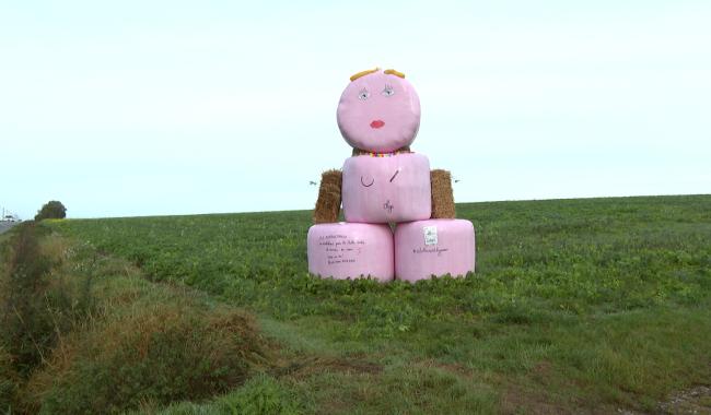 Une dame en rose à Cerfontaine