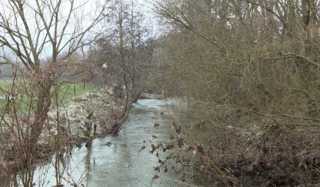 Le chemin de l'Eau d'Heure