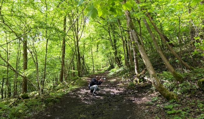 Profondeville: adoption du plan d’aménagement forestier et d’une réserve naturelle