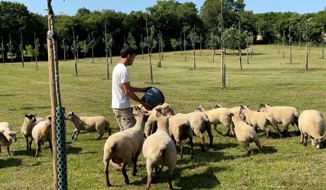 Les Étoiles du Parc national : une nouvelle dynamique pour valoriser l'économie locale