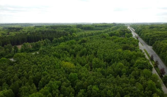 Quel avenir pour le Bois Robiet ? Le conseil communal retire le règlement communal de protection des sites de grand intérêt biologique