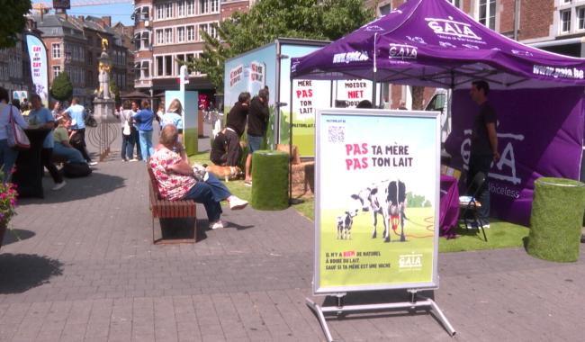 Namur: une brique de lait géante pour dénoncer l'industrie laitière