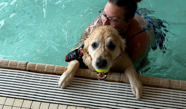 Philippeville : la piscine communale a ouvert ses portes aux chiens !