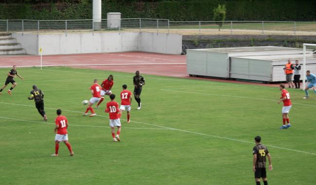 D1 ACFF : les Merles déchantent à la maison face au Standard de Liège B
