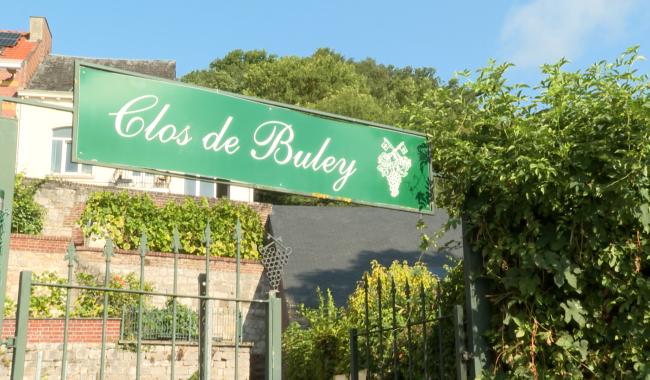 Le vignoble de Buley ouvert pour les Journées du Patrimoine