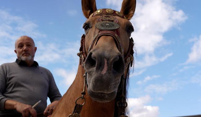 Des spectacles équestres médiévaux se préparent au château de Montigny