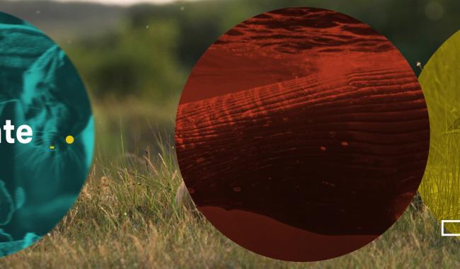 Festival international Nature Namur : l'émission du vendredi