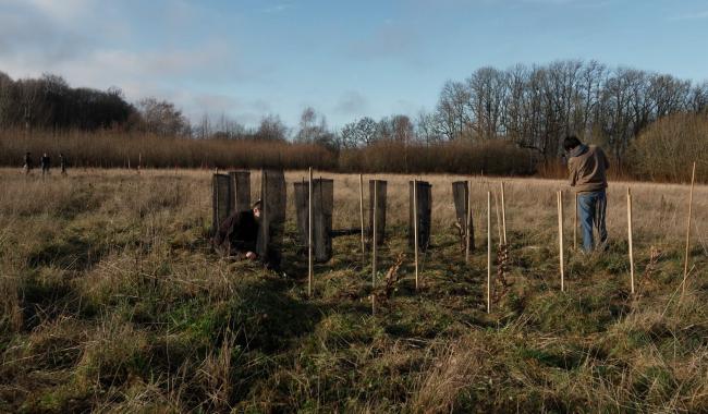 Gesves: un projet de migration assistée pour les arbres