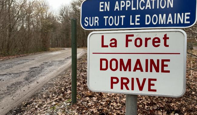 Habitat vert : le projet avance sur les domaines de Philippeville