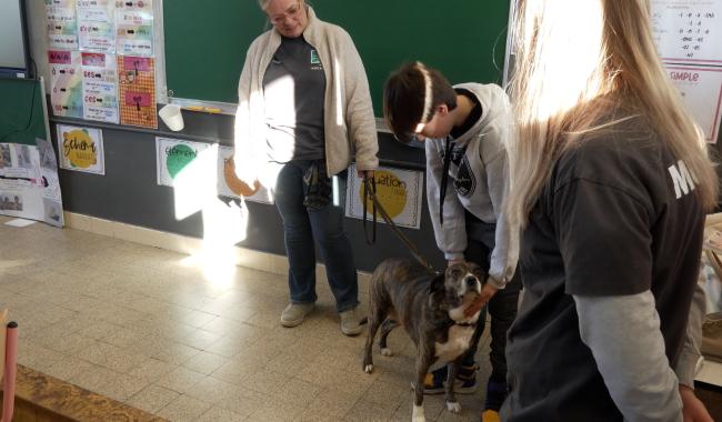 Jemeppe-sur-Sambre: des élèves sensibilisés au bien-être animal