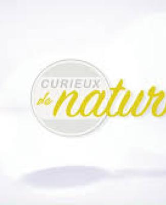 Curieux de nature - 15/04/2024