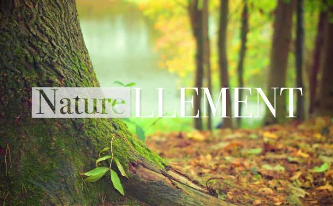 Naturellement - Dans une ferme de Surice