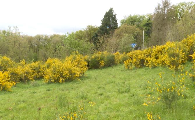 Namur: des tiny houses pour SDF dans ce champ pour les sortir du sans-abrisme