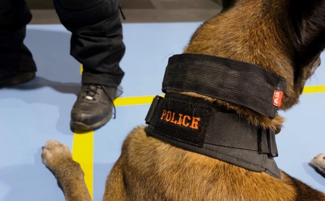 Portrait : Isabelle Michaux, maître chien à la zone de police FloWal