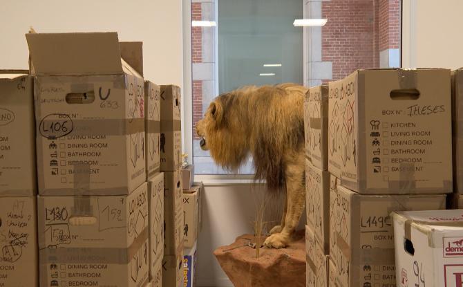 Exit le Musée Africain, voici le MusAfrica !