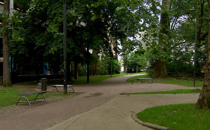 Square Léopold : des arbres abattus dès cet été ?