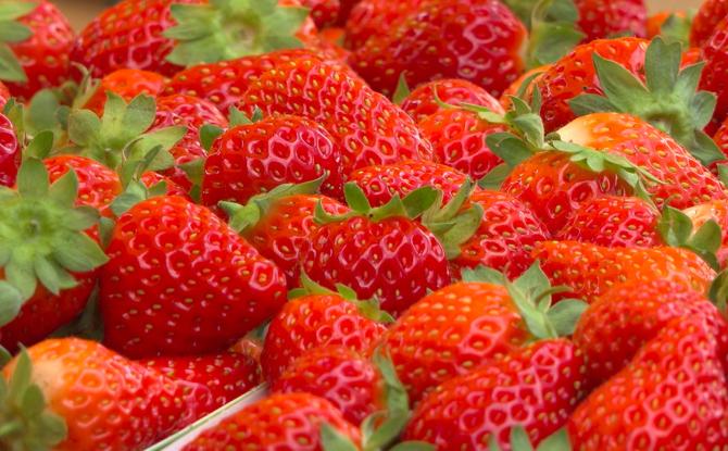Succès pour le Frais’tival du musée de la fraise à Wépion