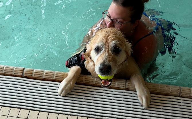 Philippeville : la piscine communale a ouvert ses portes aux chiens !