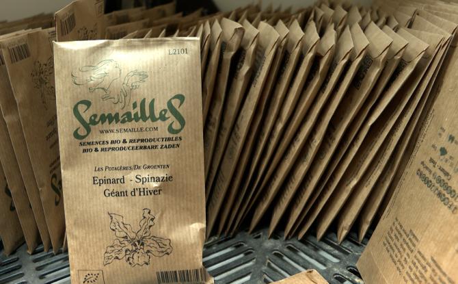 Depuis 25 ans "Semailles" produit des graines régionales et reproductibles